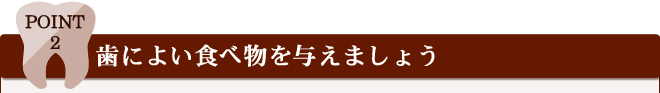 Point 2 歯によい食べ物を与えましょう