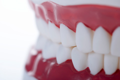 歯周病は歯を失ってしまう可能性がある怖い病気です