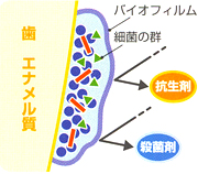 定期検診にお呼びする理由